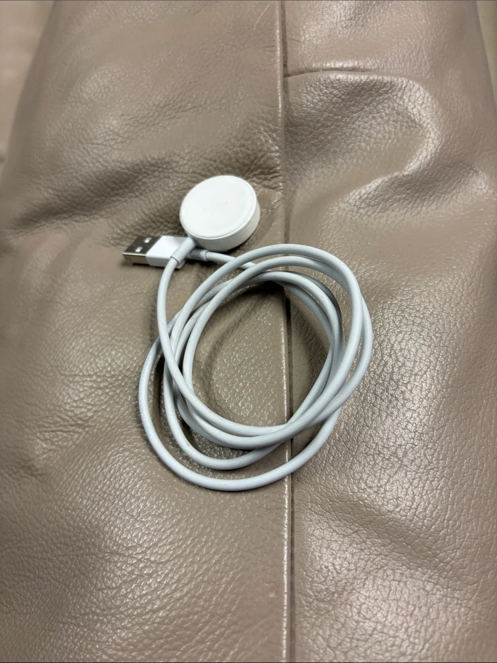 Apple White Magnetic Charging Cable for Wearables